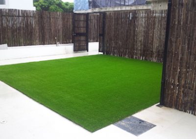 wahking-royalgrass-12